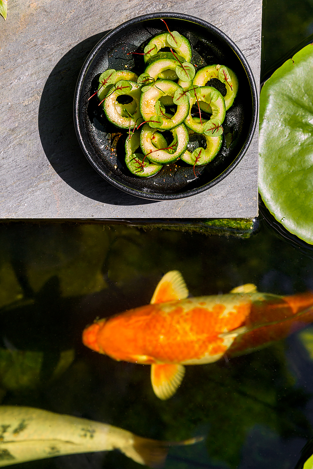 Salads and snacks