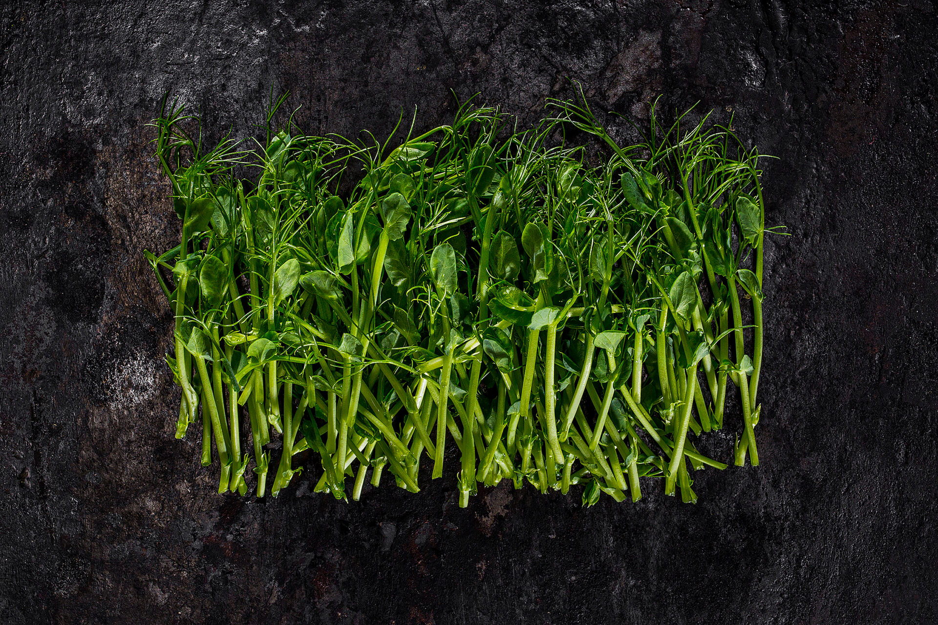 IMG_9639
