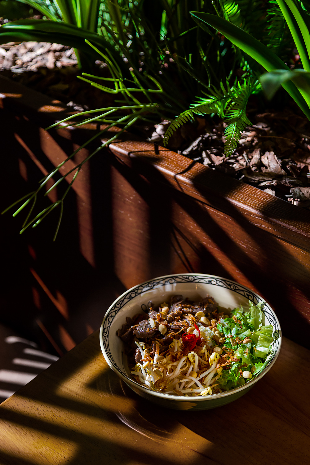 Viet_Corner_6367
